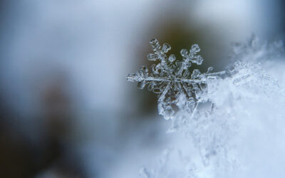 „So klingt der Schnee“ mit der 2A