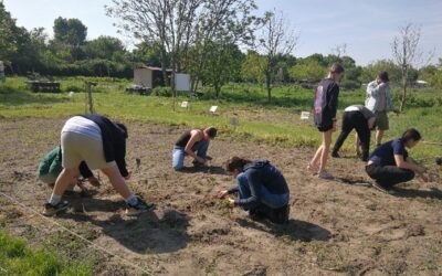 Forschungsprojekt Marktrecherche 3E