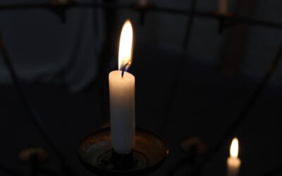 Nachruf auf Peter Kampits